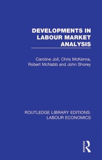 Omslagafbeelding: Developments in Labour Market Analysis 1st edition 9780367111847