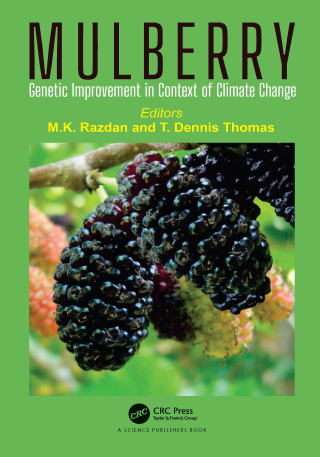 Cover image: Mulberry 1st edition 9780367024994