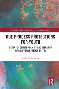 صورة الغلاف: Due Process Protections for Youth 1st edition 9780367002015
