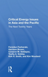 Imagen de portada: Critical Energy Issues In Asia And The Pacific 1st edition 9780367168841