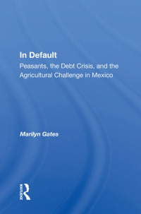 Cover image: In Default 1st edition 9780367161316