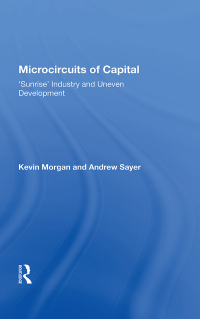 Cover image: Microcircuits Of Capital 1st edition 9780367153243