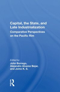 صورة الغلاف: Capital, the State, and Late Industrialization 1st edition 9780367010379
