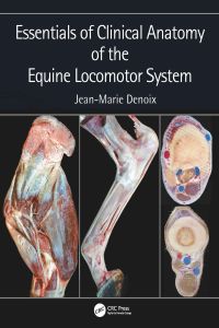 Cover image: Essentials of Clinical Anatomy of the Equine Locomotor System 1st edition 9781498754415