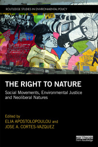 Immagine di copertina: The Right to Nature 1st edition 9781138385351