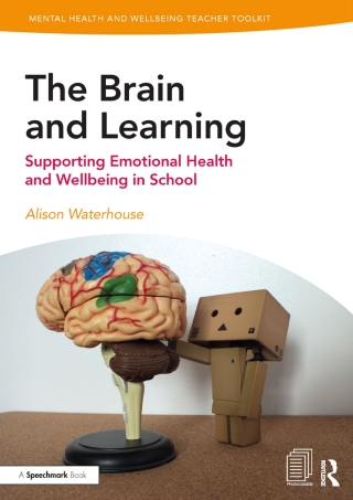 صورة الغلاف: The Brain and Learning 1st edition 9781138370326