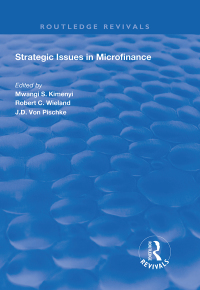 Titelbild: Strategic Issues in Microfinance 1st edition 9781138348622