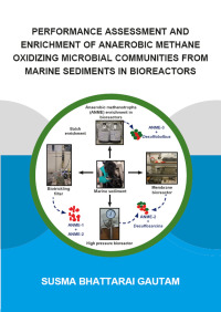 Cover image: Performance Assessment and Enrichment of Anaerobic Methane Oxidizing Microbial Communities from Marine Sediments in Bioreactors 1st edition 9781138330214