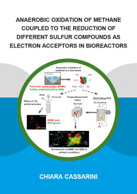 صورة الغلاف: Anaerobic Oxidation of Methane Coupled to the Reduction of Different Sulfur Compounds as Electron Acceptors in Bioreactors 1st edition 9781138329133