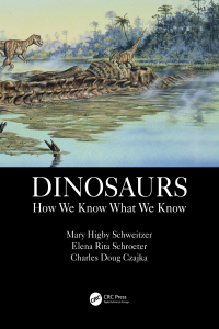 Cover image: Dinosaurs 1st edition 9781138608160
