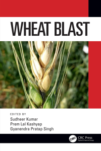 Cover image: Wheat Blast 1st edition 9781138599970