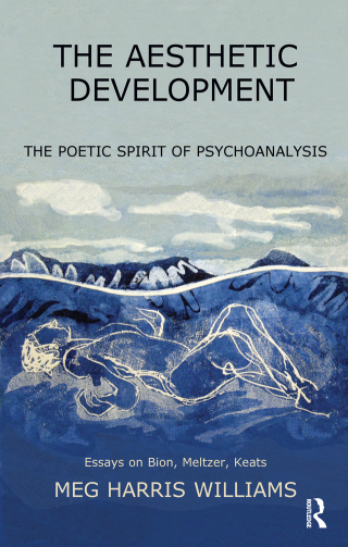 Cover image: The Aesthetic Development 1st edition 9780367106133