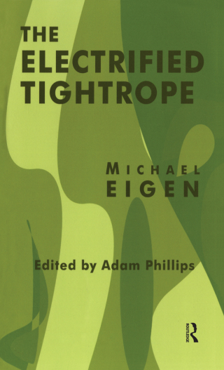 Imagen de portada: The Electrified Tightrope 1st edition 9780367327781
