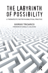 Cover image: The Labyrinth of Possibility 1st edition 9781782201762