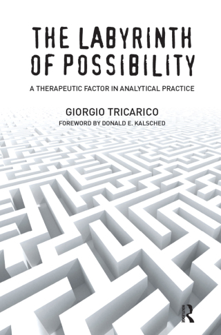 Omslagafbeelding: The Labyrinth of Possibility 1st edition 9781782201762