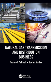 Omslagafbeelding: Natural Gas Transmission and Distribution Business 1st edition 9780367656584