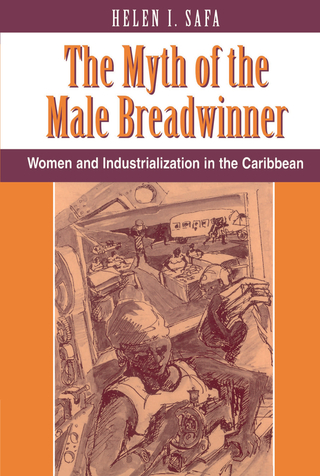 Imagen de portada: The Myth Of The Male Breadwinner 1st edition 9780813312125
