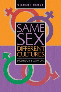 Cover image: Same Sex, Different Cultures 1st edition 9780367096076