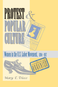 Cover image: Protest And Popular Culture 1st edition 9780367098544