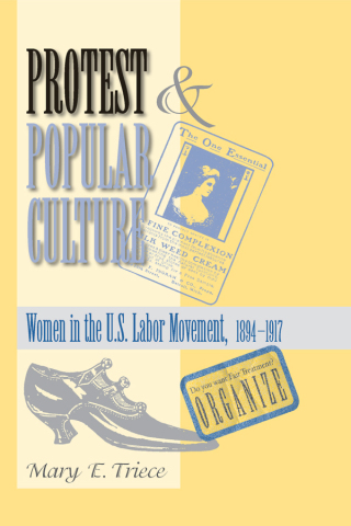 صورة الغلاف: Protest And Popular Culture 1st edition 9780367098544