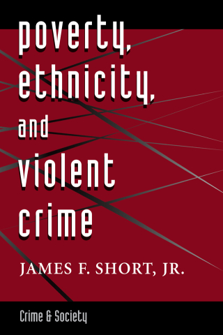 صورة الغلاف: Poverty, Ethnicity, And Violent Crime 1st edition 9780367317386