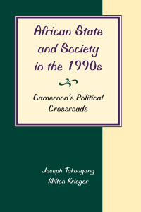 Cover image: African State And Society In The 1990s 1st edition 9780813334288