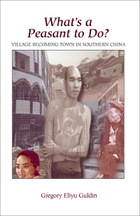 Omslagafbeelding: What's A Peasant To Do? Village Becoming Town In Southern China 1st edition 9780367096571