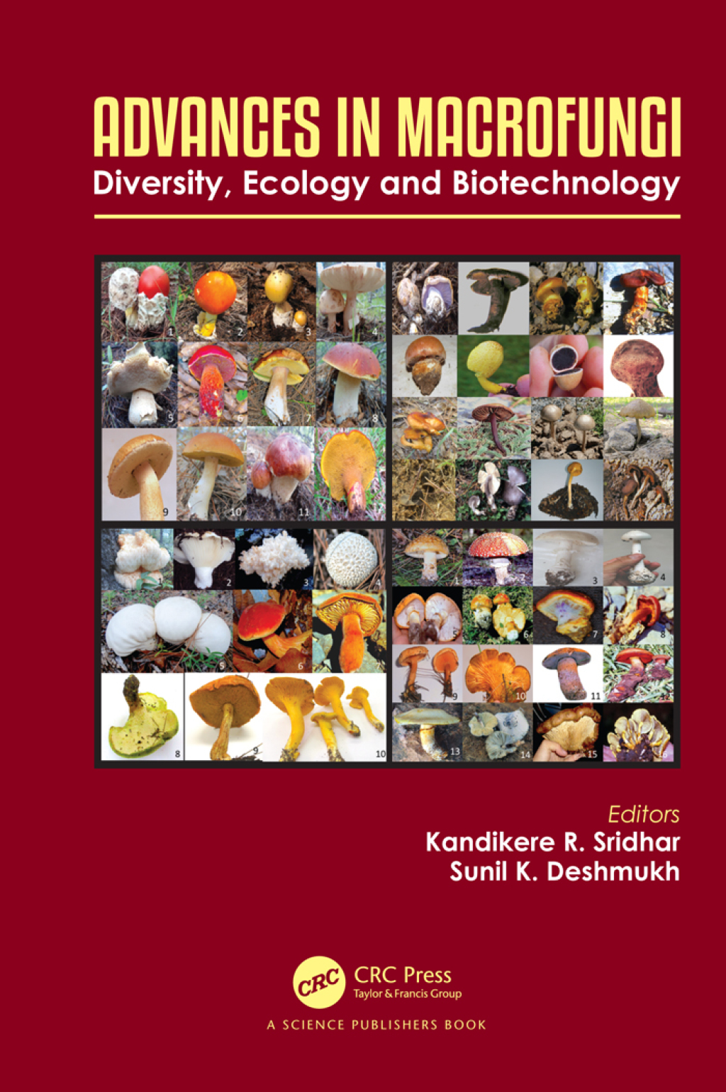 Advances in Macrofungi Diversity, Ecology and Biotechnology 1st Edition