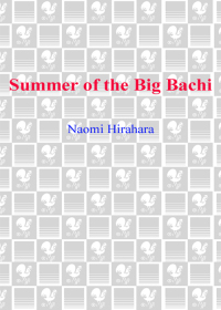 Cover image: Summer of the Big Bachi 9780385337595