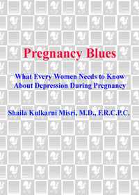 Cover image: Pregnancy Blues 9780385338660