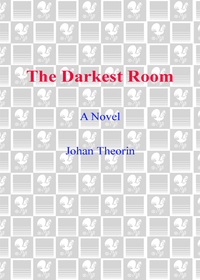Cover image: The Darkest Room 9780385342223