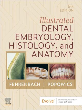 Cover image: Illustrated Dental Embryology, Histology, and Anatomy 6th edition 9780443104244