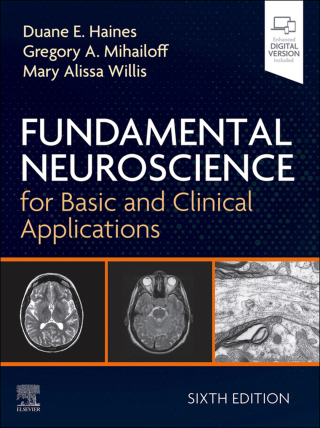 Cover image: Fundamental Neuroscience for Basic and Clinical Applications 6th edition 9780443107030