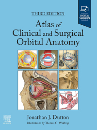 表紙画像: Atlas of Clinical and Surgical Orbital Anatomy 3rd edition 9780443109423