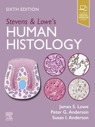 Imagen de portada: Stevens & Lowe's Human Histology 6th edition 9780443109706