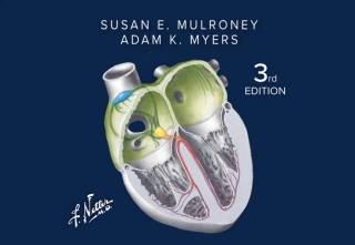 Cover image: Netter's Physiology Flash Cards 3rd edition 9780443113444