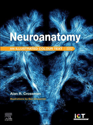 Cover image: Neuroanatomy: Illustrated Colour Text 7th edition 9780443113666