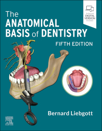 表紙画像: The Anatomical Basis of Dentistry 5th edition 9780323824057