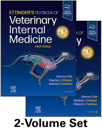 Cover image: Textbook of Veterinary Internal Medicine 9th edition 9780323779319