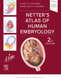 Omslagafbeelding: Netter's Atlas of Human Embryology 2nd edition 9780443117619