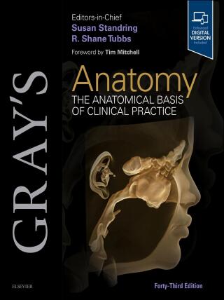 Imagen de portada: Gray's Anatomy 43rd edition 9780443124785