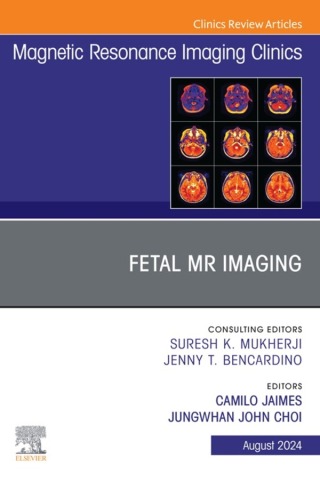 Cover image: Fetal MRI, An Issue of Magnetic Resonance Imaging Clinics of North America 1st edition 9780443128950