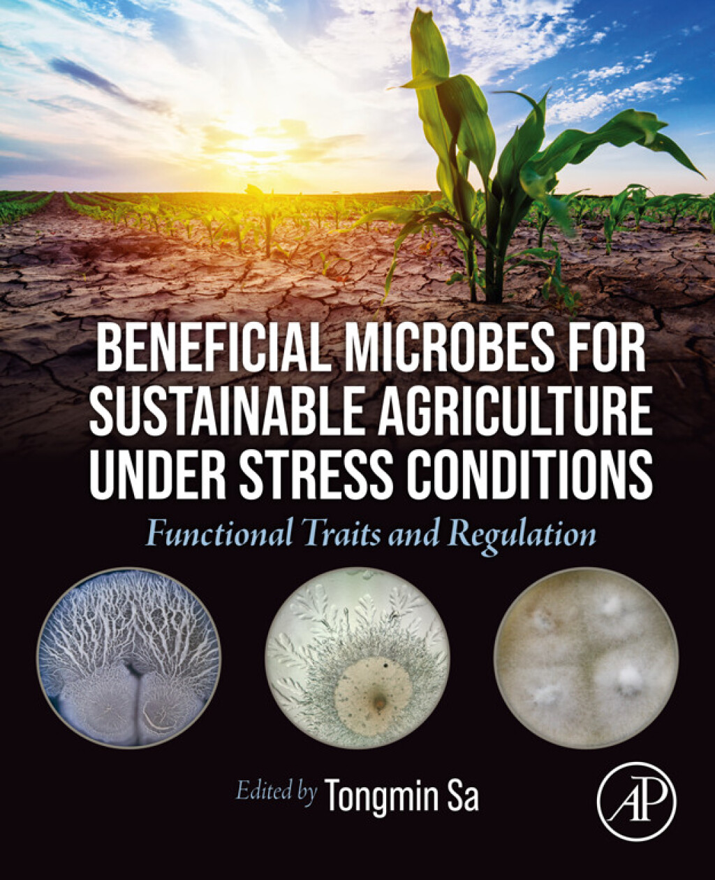 Beneficial Microbes for Sustainable Agriculture under Stress Conditions Functional Traits and Regulation 1st Edition