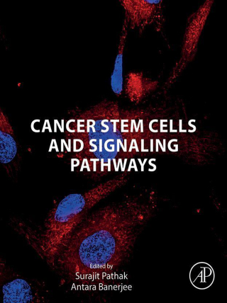 Cover image: Cancer Stem Cells and Signaling Pathways 1st edition 9780443132124