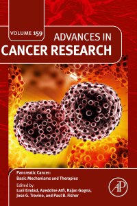 Imagen de portada: Pancreatic Cancer: Basic Mechanisms and Therapies 1st edition 9780443133541