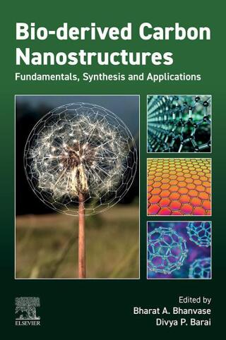 Imagen de portada: Bio-derived Carbon Nanostructures 1st edition 9780443135798