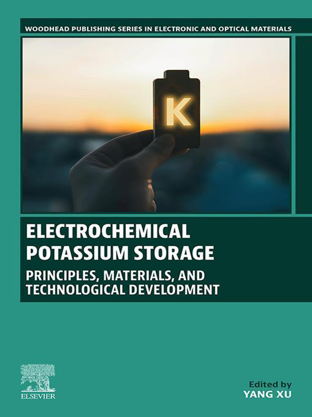 Electrochemical Potassium Storage Principles, Materials, and Technological Development 1st Edition