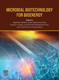 Cover image: Microbial Biotechnology for Bioenergy 1st edition 9780443141126