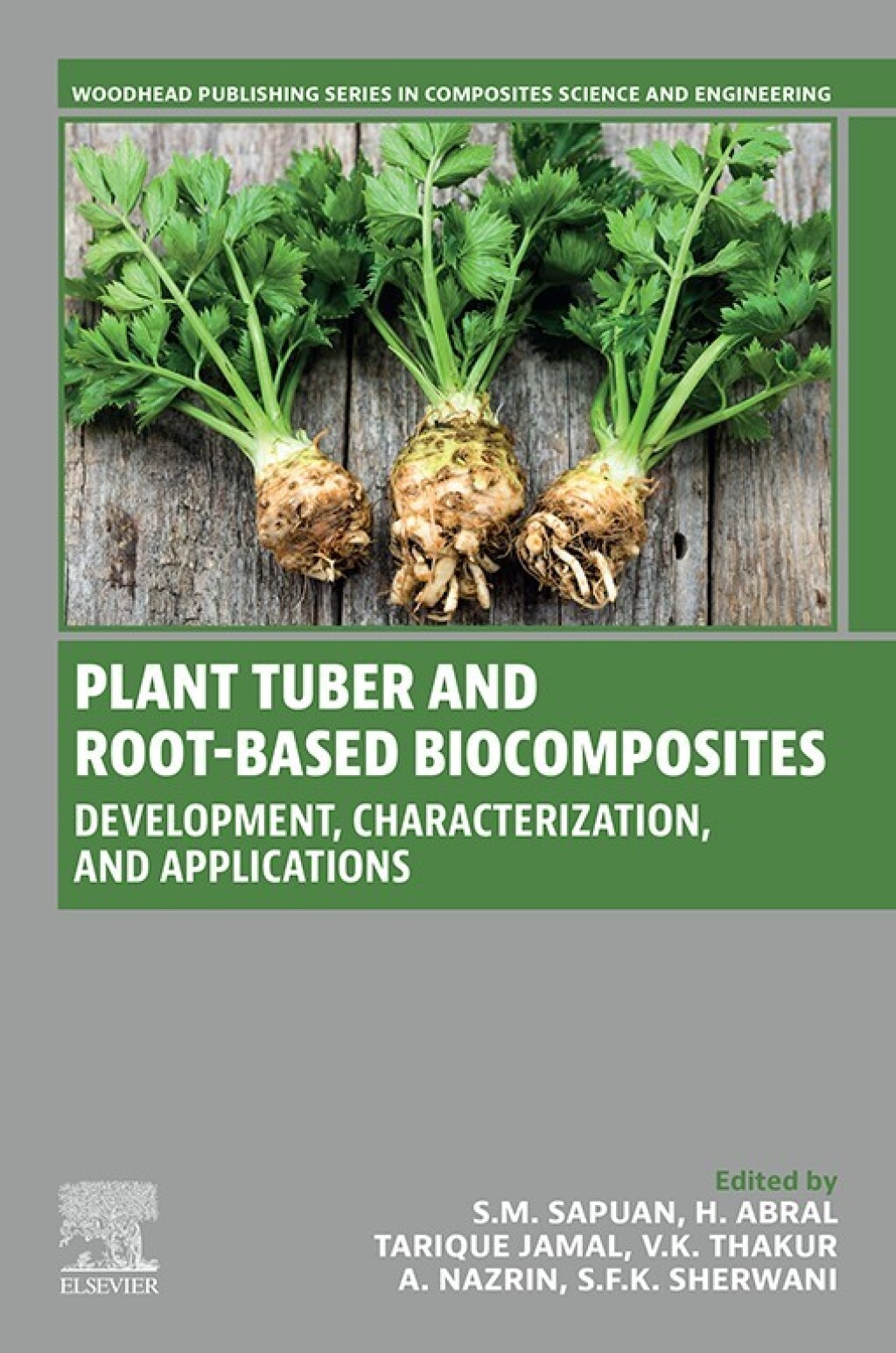 Plant Tuber and Root-Based Biocomposites Development, Characterization, and Applications 1st Edition