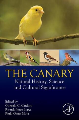 表紙画像: The Canary 1st edition 9780443153501